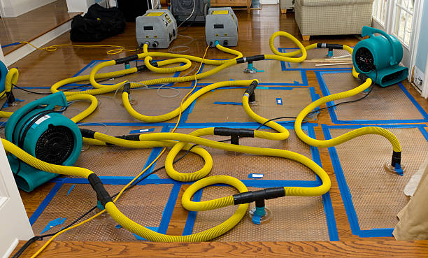 Professional Water Extraction technician working in Manorville, NY